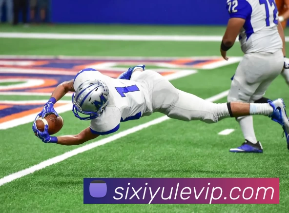 多媒体互动体验